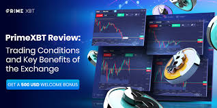 Discover the Benefits of the PrimeXBT Trading Platform