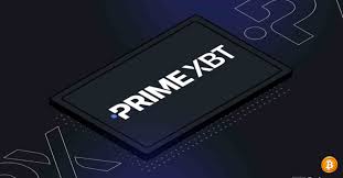 Seu Guia Completo para o PrimeXBT Login