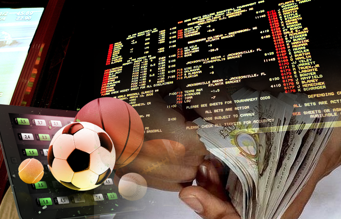 How to Bet on Cricket and Win Big 7