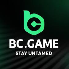 Maximize Your Winnings with BCStavka Referral Program -151742124