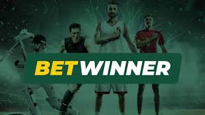 BetWinner vs BC.Game Which Online Betting Platform is Right for You