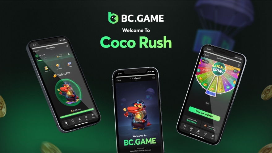 Maximize Your Experience with BC Hash Game Bonus