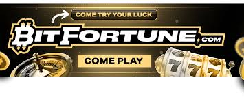 Bitfortune The Ultimate Destination for Live Casino Fans -1258508309