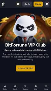 Exciting New Releases at Bitfortune Canada Discover the Future of Entertainment