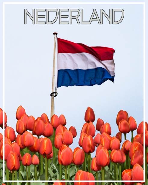 Glashandel Sneek en omgeving Kwaliteit en Expertise in Glaswerk