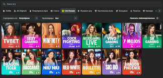 Everything You Need to Know A Complete Guide